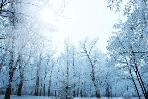 Winter park Stock Photos