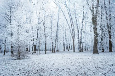 Winter park Stock Photos