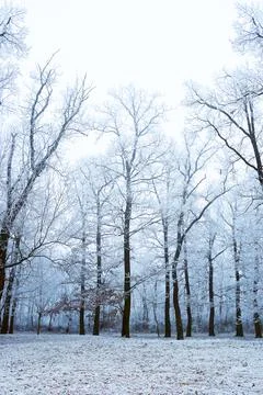 Winter park Stock Photos