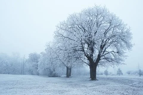Winter park Stock Photos