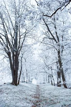 Winter park Stock Photos
