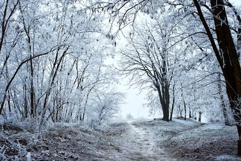 Winter park Stock Photos