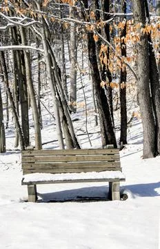 Winter in the park Stock-Fotos