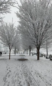 Winter park 스톡 사진