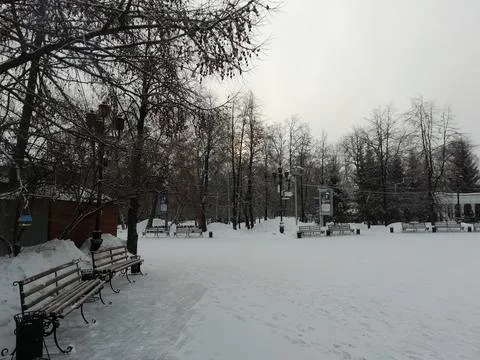 Winter park Stock Photos