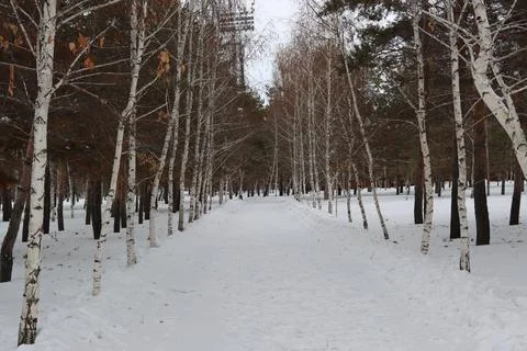 Winter Park Stock Photos