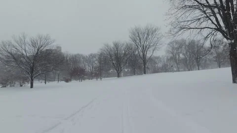 Winter Park Scene With Minimalist Composition Stock Footage 323424183