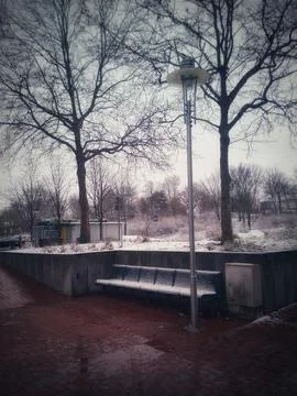 Winter Park Scene Foto stock