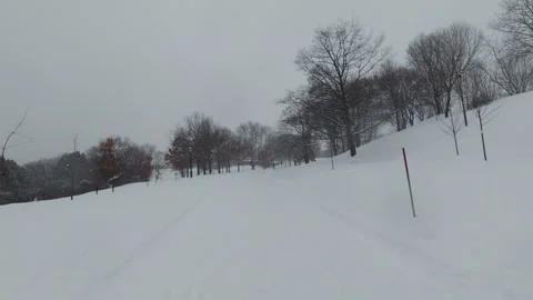 Winter Park Scene With Snowy Path and Trees Stock Footage 323423795