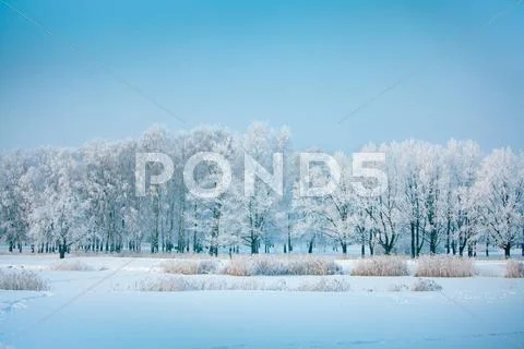 Winter park in snow Stock Photos