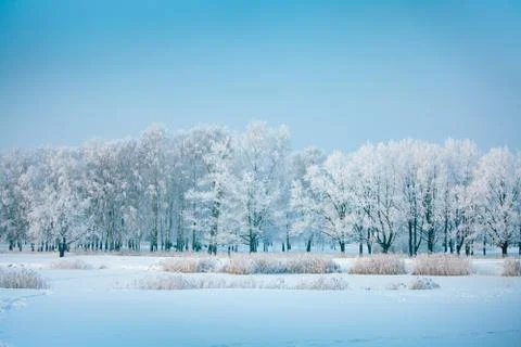 Winter park in snow Stock Photos