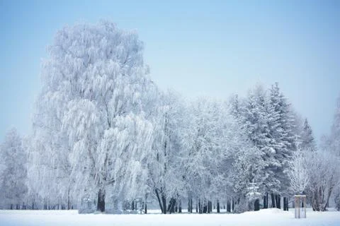 Winter park in snow Stock Photos