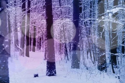 Winter park in snow Stock Photos