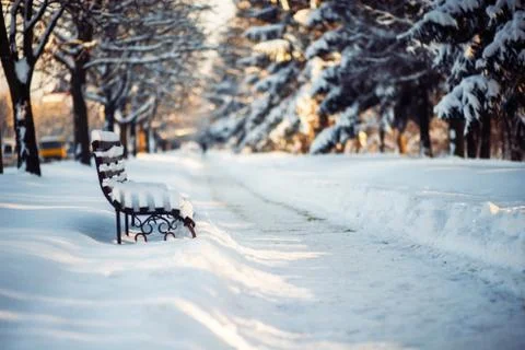 Winter park in snow Stock Photos