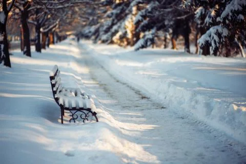 Winter park in snow Stock Photos