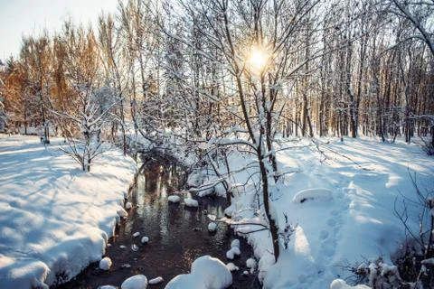 Winter park in snow Stock Photos