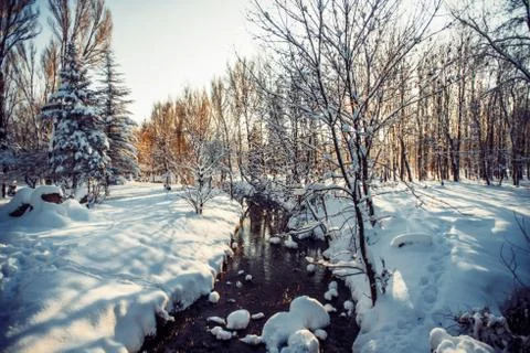 Winter park in snow Stock Photos