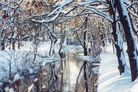 Winter park in snow Stock Photos