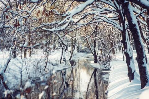 Winter park in snow Stock Photos