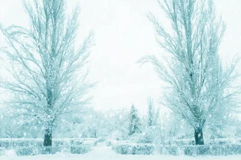 Winter park in snowfall Stock Photos