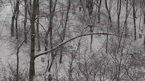 Winter in the park. Snowing. Stock Footage 54325133