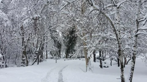 Winter in the Park. Sofia, Bulgaria  Stock Photos