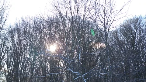 Winter in the park, sunny day Stock Footage 325307357