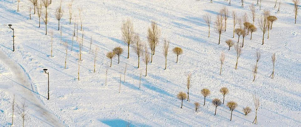 The winter park in sunny day Stock Photos