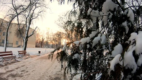 Winter park at sunset. Video stock 126791985