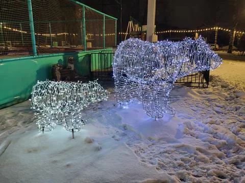 In the winter park, there are two glowing bears made of blue lights. Stock Photos