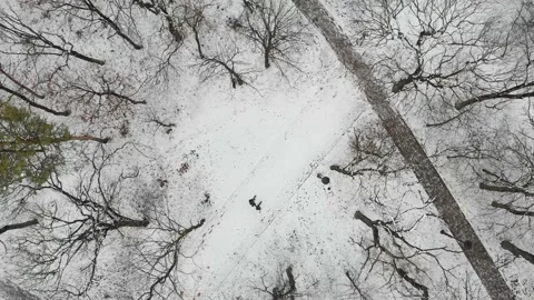 Winter park. Top-down view of people walking along paths in winter Stock-Footage 150364650