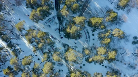 Winter park. Top-down view of people walking along paths in winter. Outdoor walk 스톡 동영상 171289119