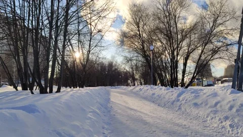 Winter park trees Stock Footage 148489463