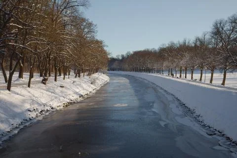 Winter Park with trees Stock Photos