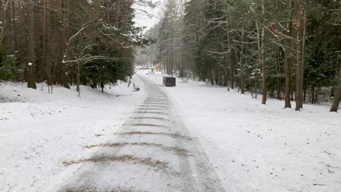 Winter Park Walkway: Exploring a Forested Park Area Stock Footage 223088842