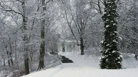 Winter park with white old building Stock Footage 70559008