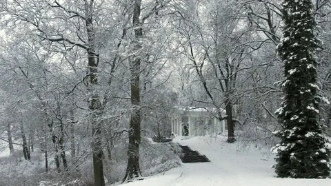 Winter park with white old building Stock Footage 70559313