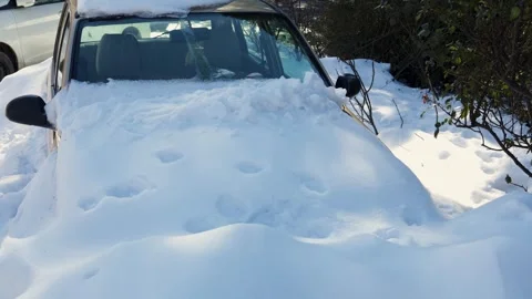 Winter parking problem car buried by snowfall Stock Footage 328706436