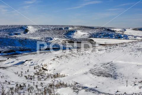Winter pasture Stock Photos