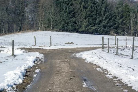 Winter pastures Foto stock