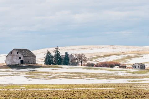 Winter Pastures Stock Photos