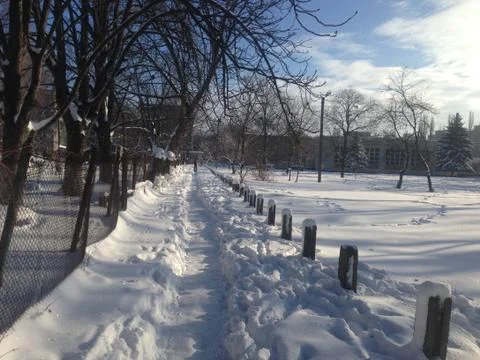 Winter patch 写真素材