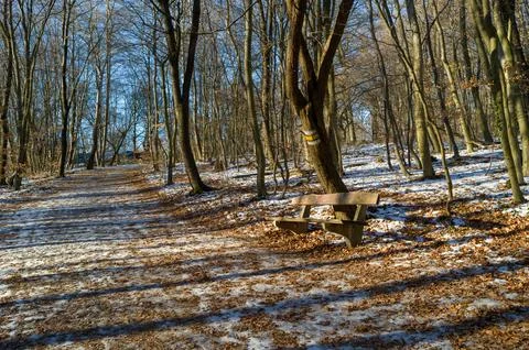 Winter Path and Resting Bench Stock Photos