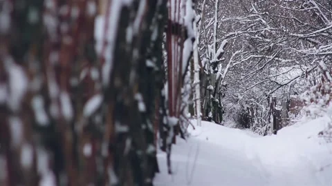 Winter path Stock Footage 121475797