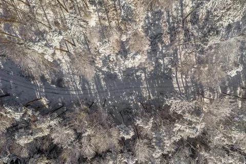 Winter path leading through a white, snowy forest captured by a drone straight Stock Photos