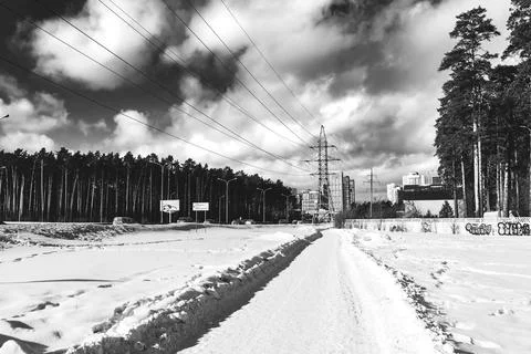 Winter path monochrome 스톡 사진