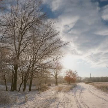 Winter Path in Morning Light 写真素材