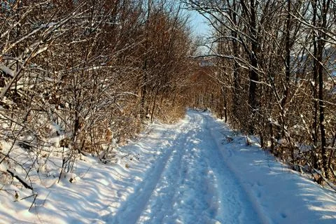 Winter path Stock Photos