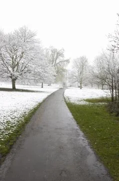 Winter path Stock Photos