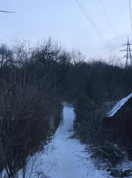 Winter path Stock Photos